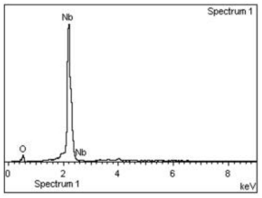 Method for preparing fine niobium powder through calcium thermal reduction of niobium chloride in calcium chloride molten salt