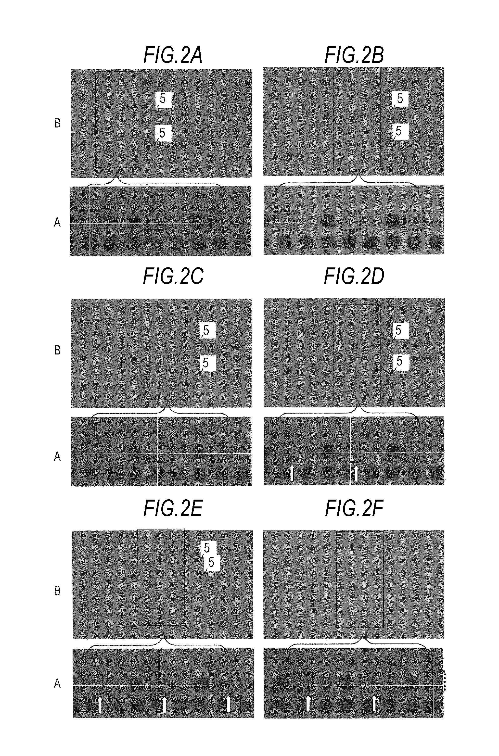 Method of transferring device