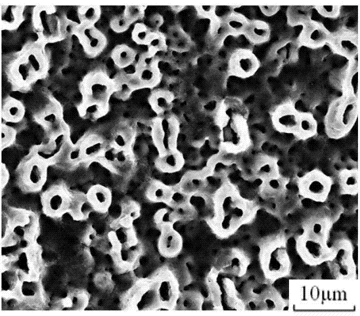 Method for preparing multistage micron structure on titanium implant surface