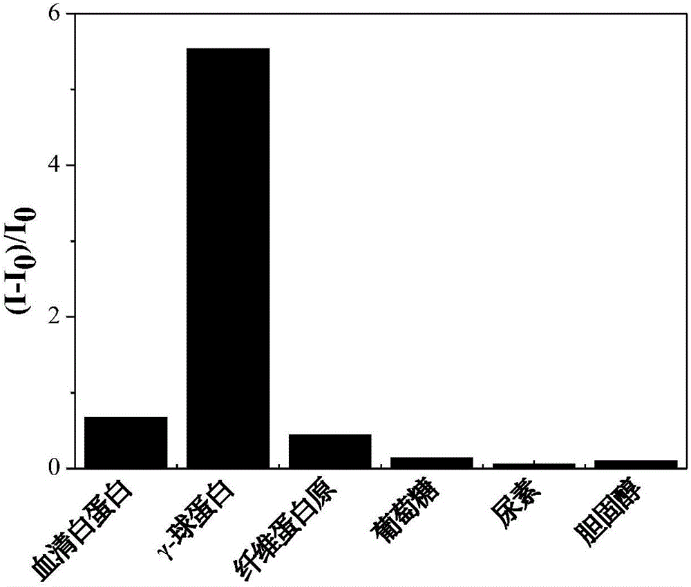 Fluorescent reagent for detecting trace gamma-globulin, as well as preparation method and application thereof