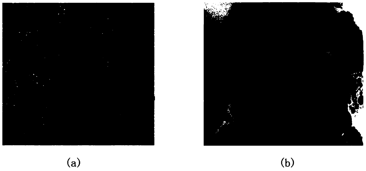 A kind of teriflunomide microemulsion, preparation method and application