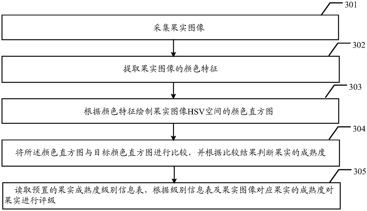 Fruit ripeness degree judgment method and device