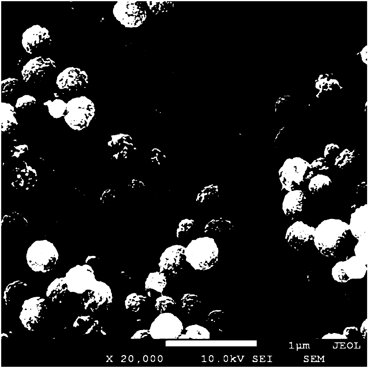 Preparation method of gene tracing and anti-counterfeit nanoparticles based on DNA and nanoparticles