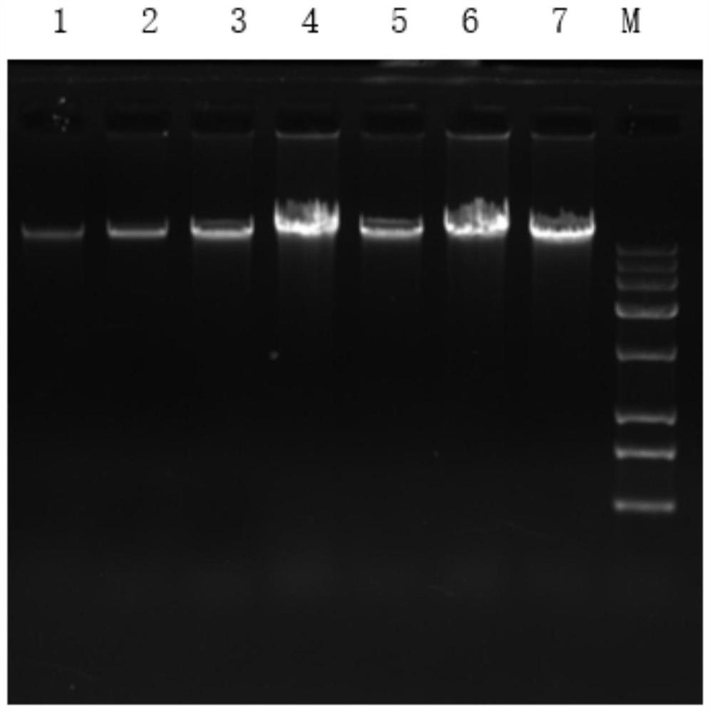 dna extraction reagent, dna extraction method and dna extraction kit