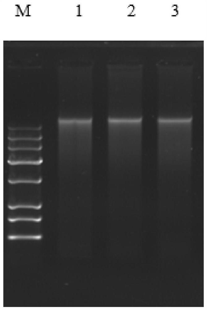 dna extraction reagent, dna extraction method and dna extraction kit