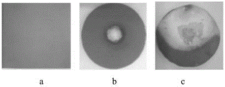 Composite insulator artificial aging test assessment method based on thermally stimulated current characteristics