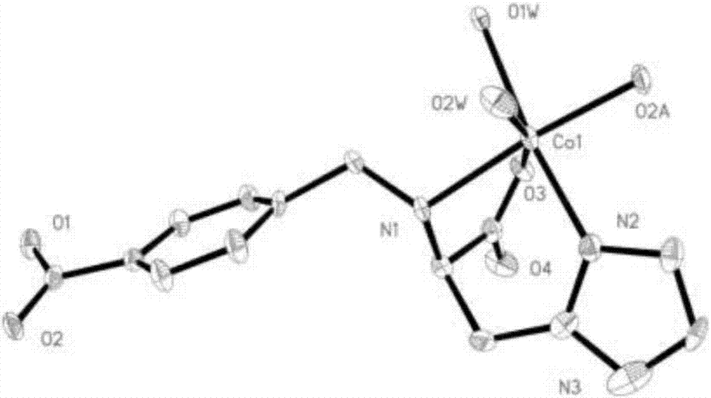 Cobalt coordination polymer constructed by histidine derived ligand and preparation method of cobalt coordination polymer