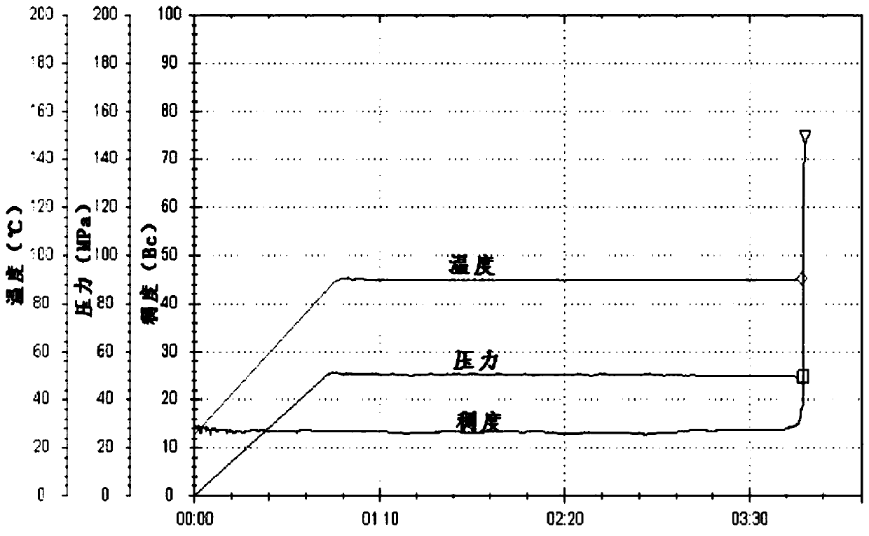 Temperature resistant and salt resistant oil well cement fluid loss agent with double-sided plexiform structure and preparation method thereof