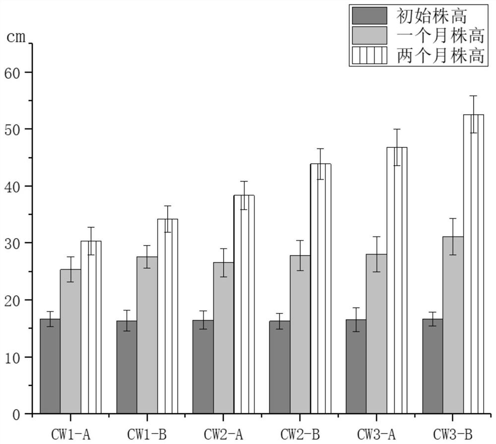 Method for treating escherichia coli in tail water of sewage plant