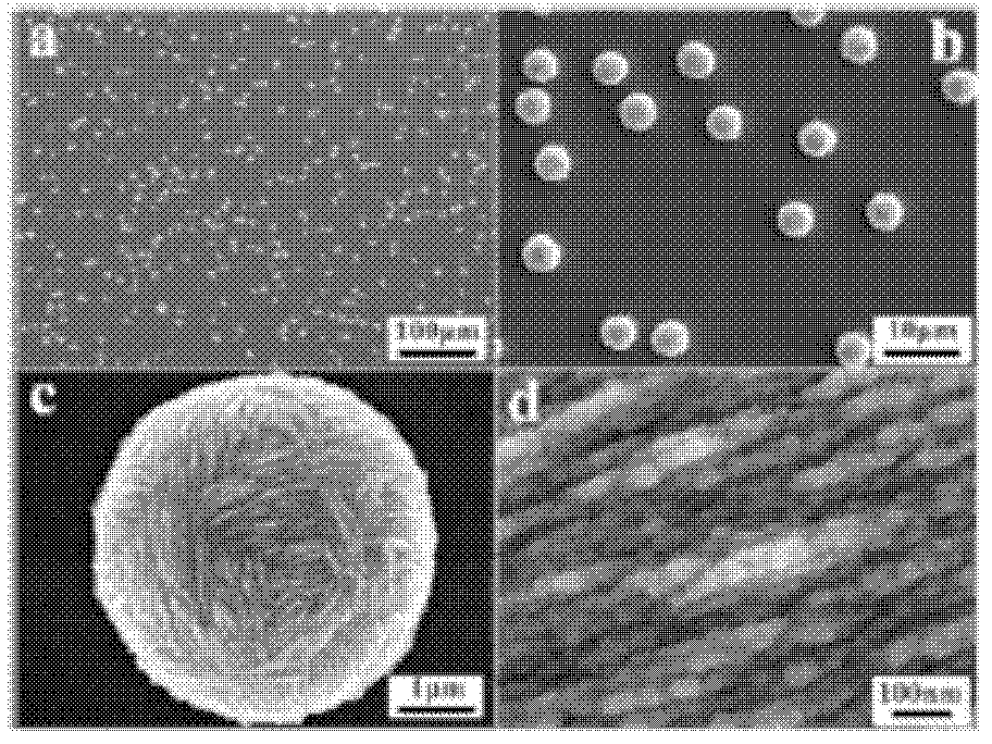 Method for detecting trace biomolecule ionizing radiation decomposition reaction based surface enhanced Raman spectrum