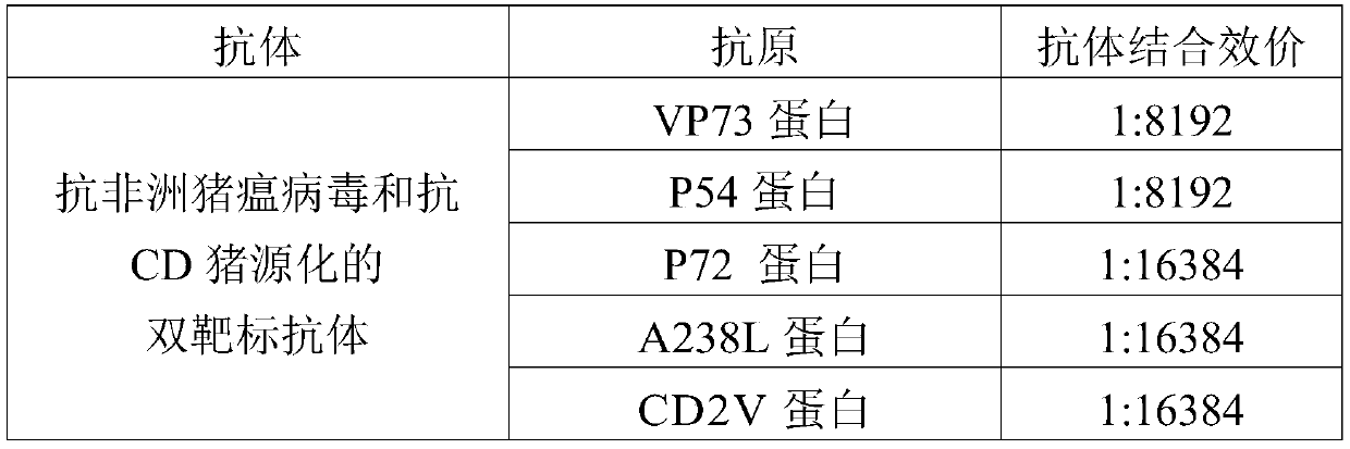 Anti-African swine fever virus and anti-CD double-target pig-derived antibody, preparing method and application