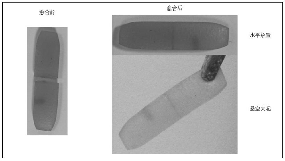 A self-healing elastomer with high cross-linking topology and its preparation method and application