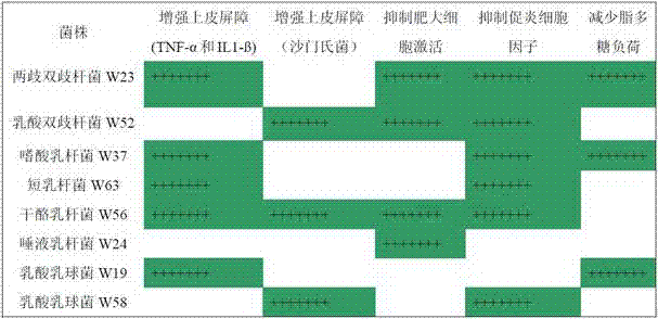 Probiotic composition at least comprising bifidobacterium bifidum W23 and capable of controlling intestinal barrier function