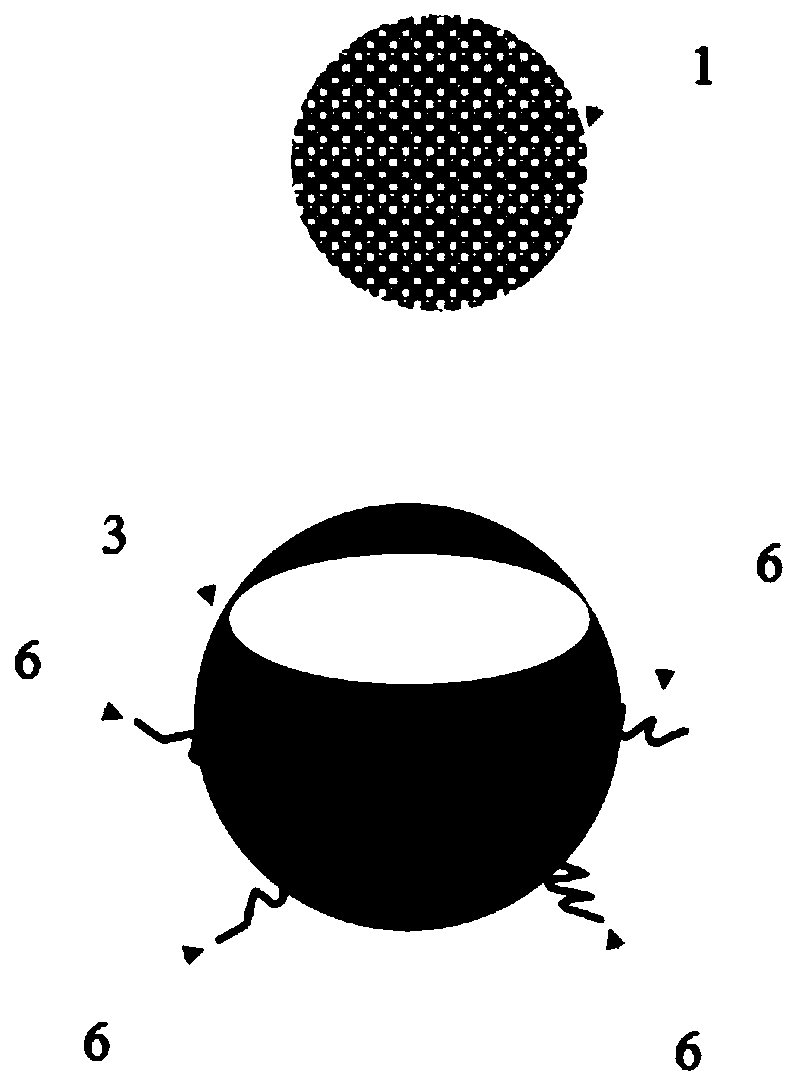 An in vivo enrichment device for circulating free DNA