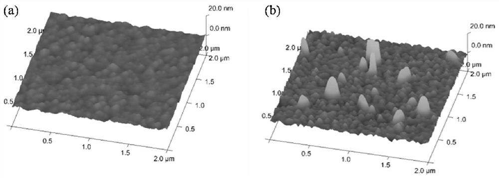 A lectin chip for joint detection of ten kinds of sugar chains in human serum and its preparation and use method