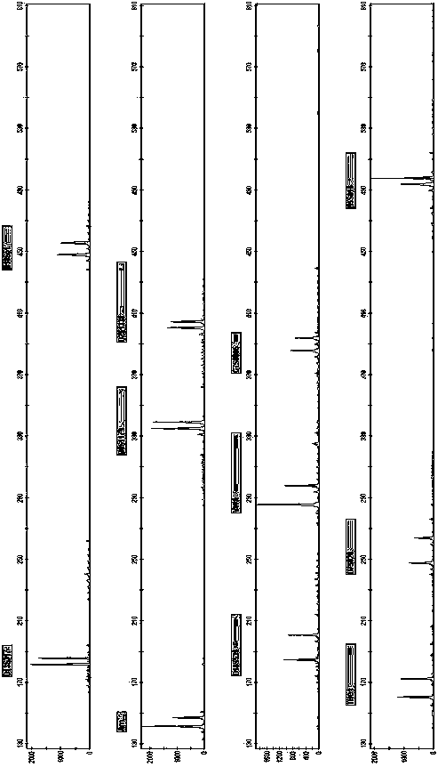 New Short Nucleotide Tandem Repeat Sequence Site and Its Application