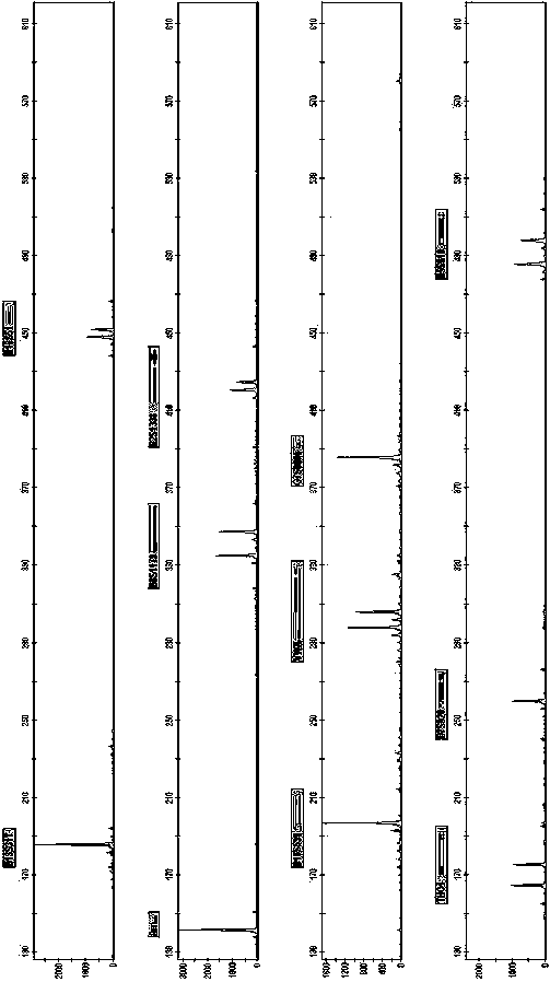 New Short Nucleotide Tandem Repeat Sequence Site and Its Application