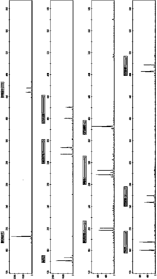 New Short Nucleotide Tandem Repeat Sequence Site and Its Application