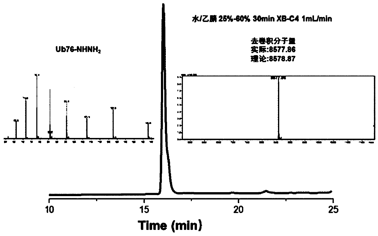 Compounds and their preparation methods and applications