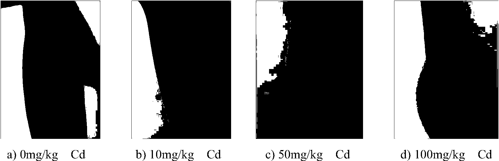 Method for determining soil contamination condition through crop markers