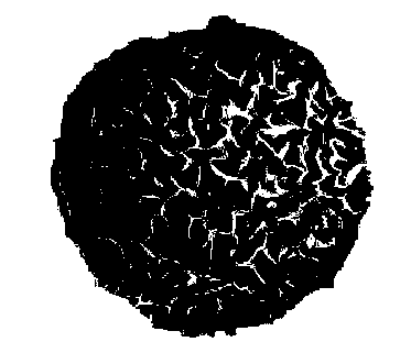 Method for preparing quick-responding thermo-sensitive porous microspheres based on microfluidic technology