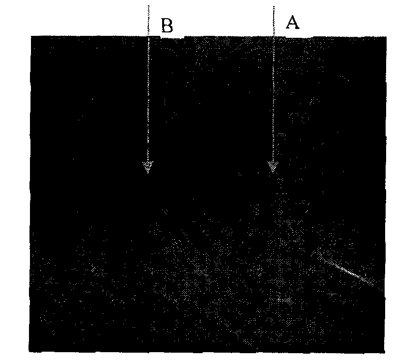 Measurement device of stimulated Brillouin frequency shift during amplification of single single-frequency pulse