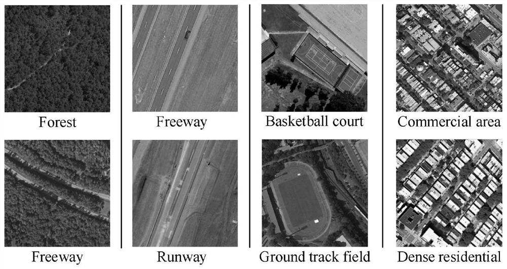 Remote sensing scene classification method based on branch feature fusion convolutional network