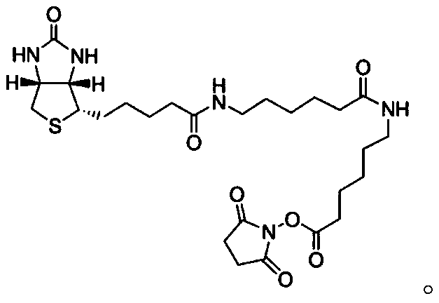 Prostate specific antigen homoisomer chemiluminescence immunoassay kit and preparation method thereof