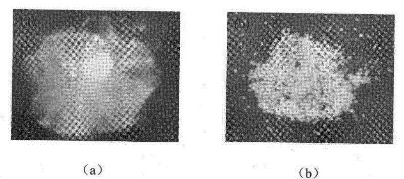 Precipitation and crystallization drug sustained and controlled release microspheres and preparation method thereof