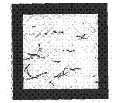 Intelligent texture anti-counterfeiting method based on DCT (Discrete Cosine Transform) transformation