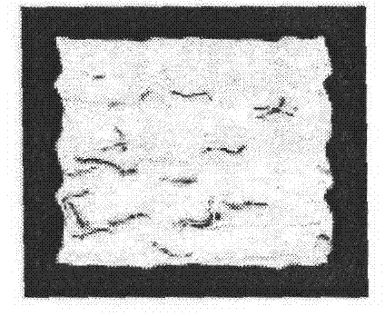 Intelligent texture anti-counterfeiting method based on DCT (Discrete Cosine Transform) transformation