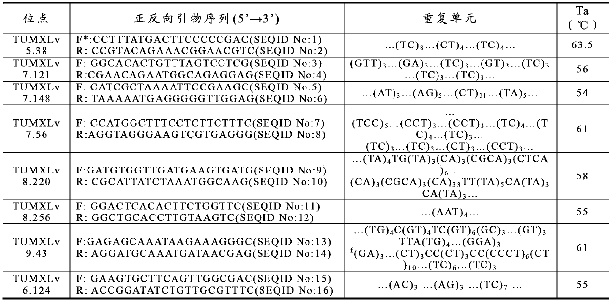 Litopenaeus vannamei base population establishing method based on genetic information and excellent properties