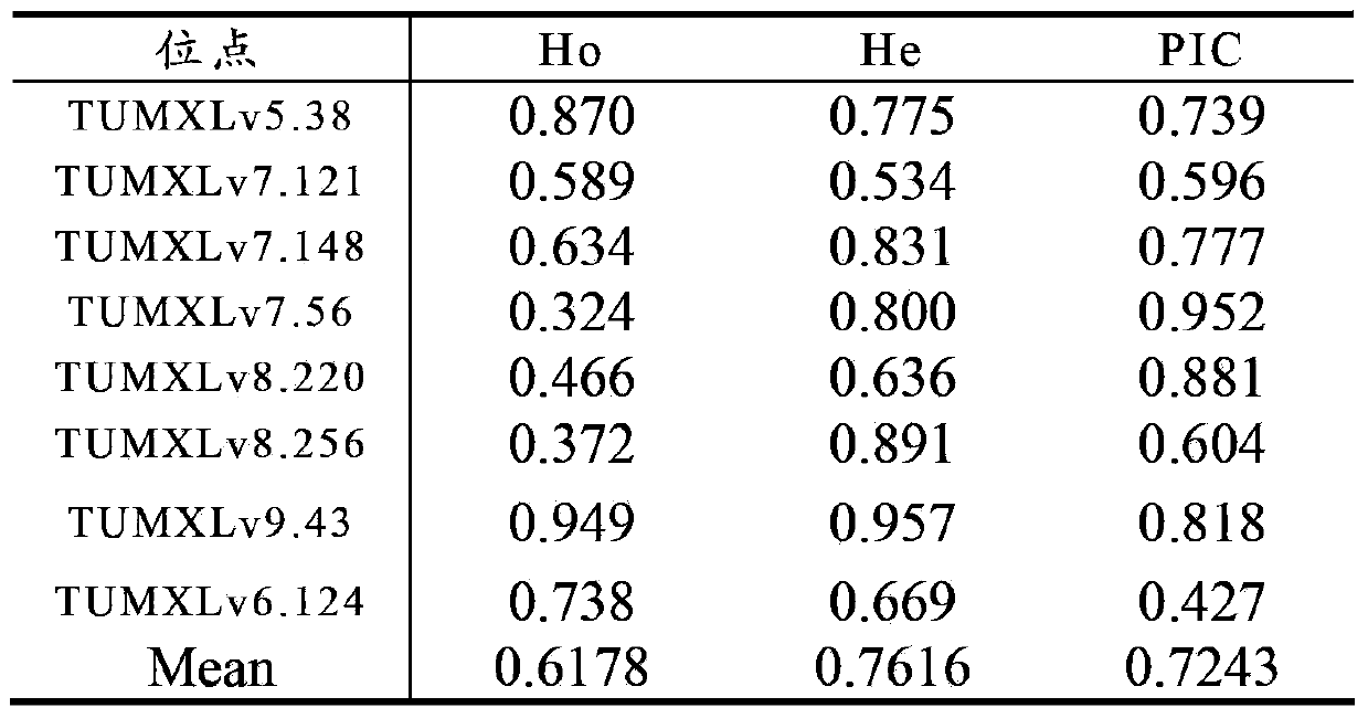 Litopenaeus vannamei base population establishing method based on genetic information and excellent properties