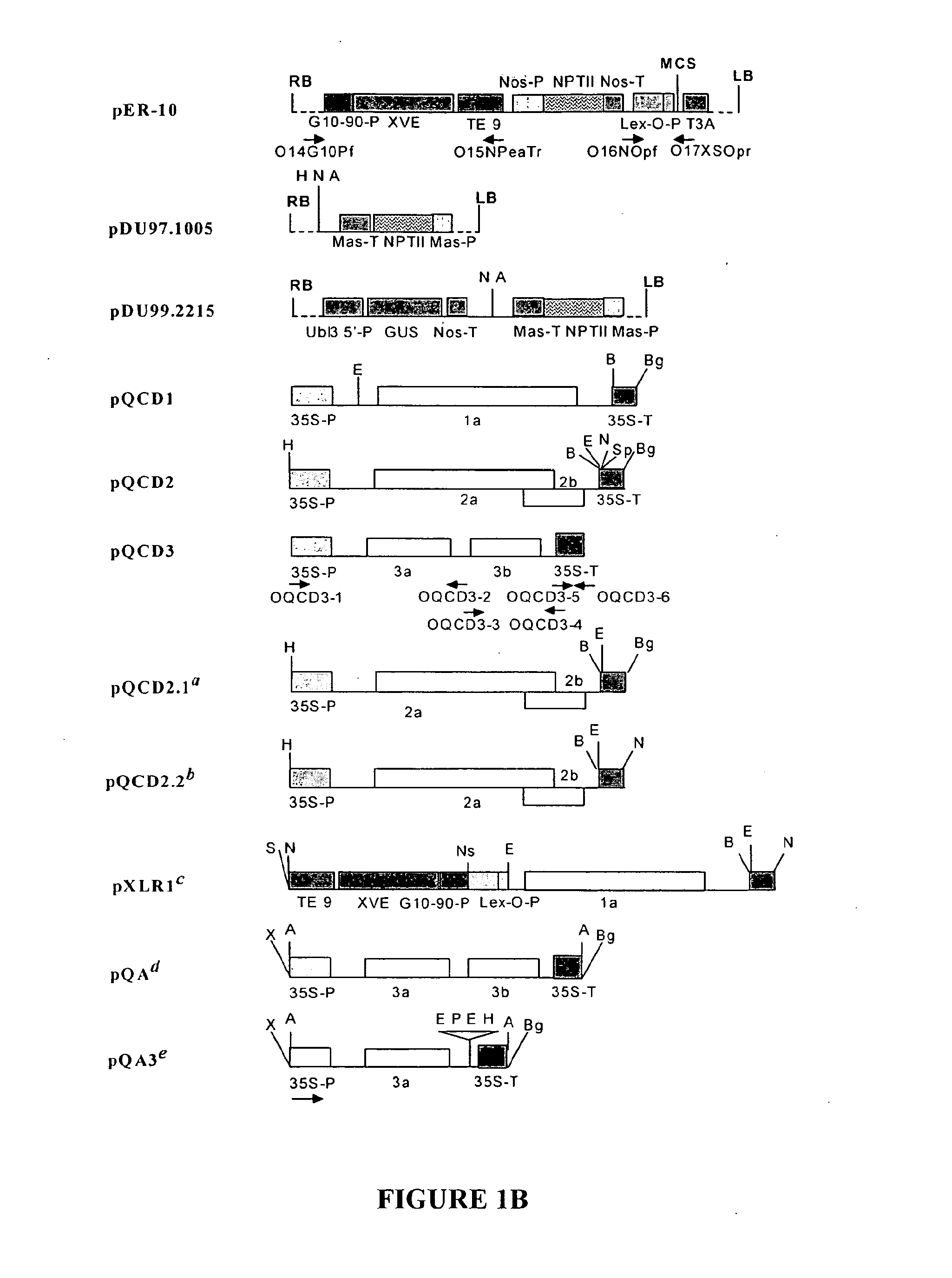 Chemically inducible cucumber mosaic virus protein expression system