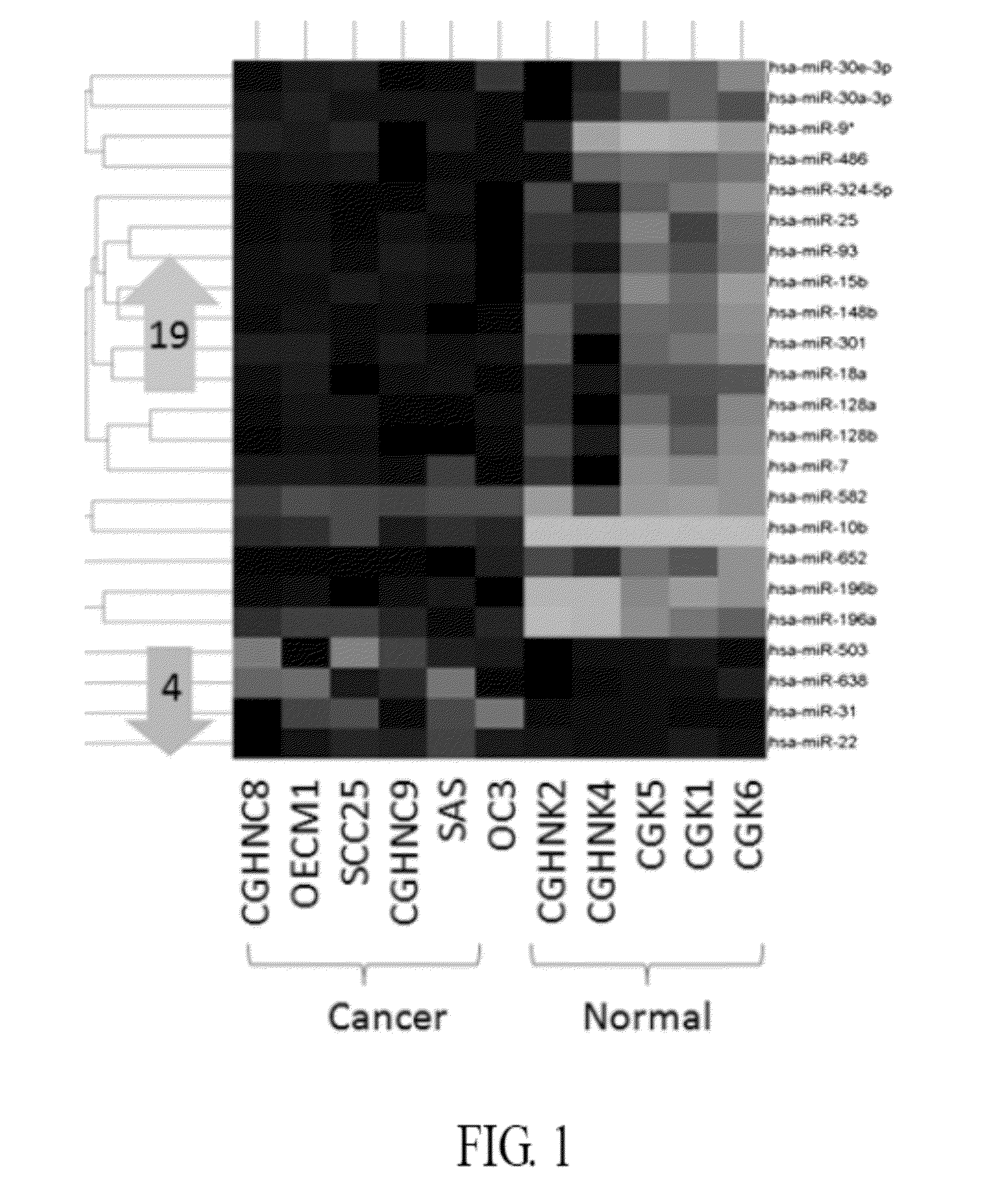 Method of using both mir-196a and mir-196b as biomarkers for detecting oral cancer