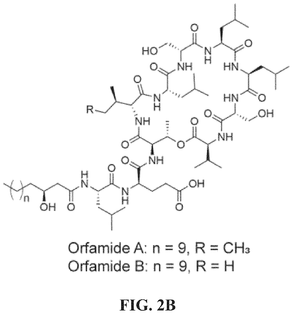 Cryptic metabolites and method for activating silent biosynthetic gene clusters in diverse microorganisms