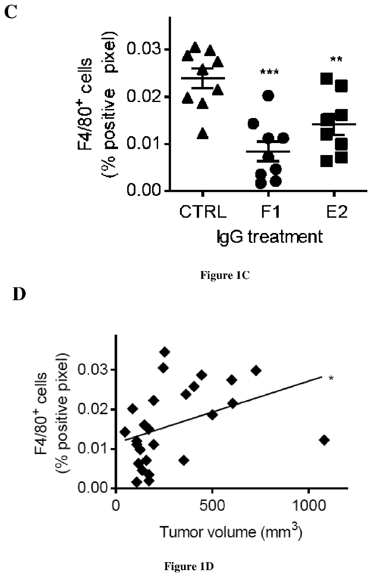 Methods and compositions for treating cancers by immuno-modulation using antibodies against cathespin-d