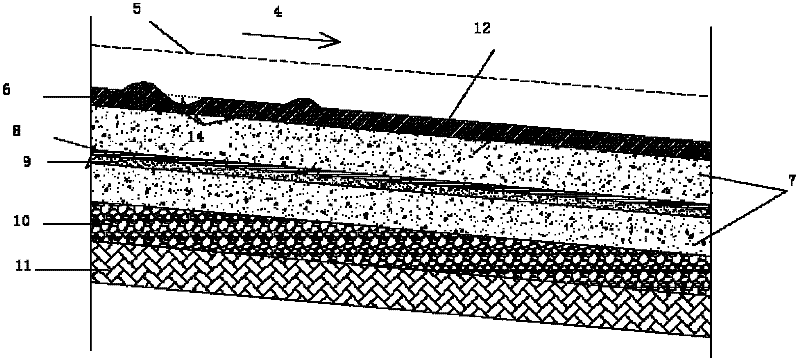 Plant half-naked planting method for improving purification efficiency of surface flow constructed wetlands substantially