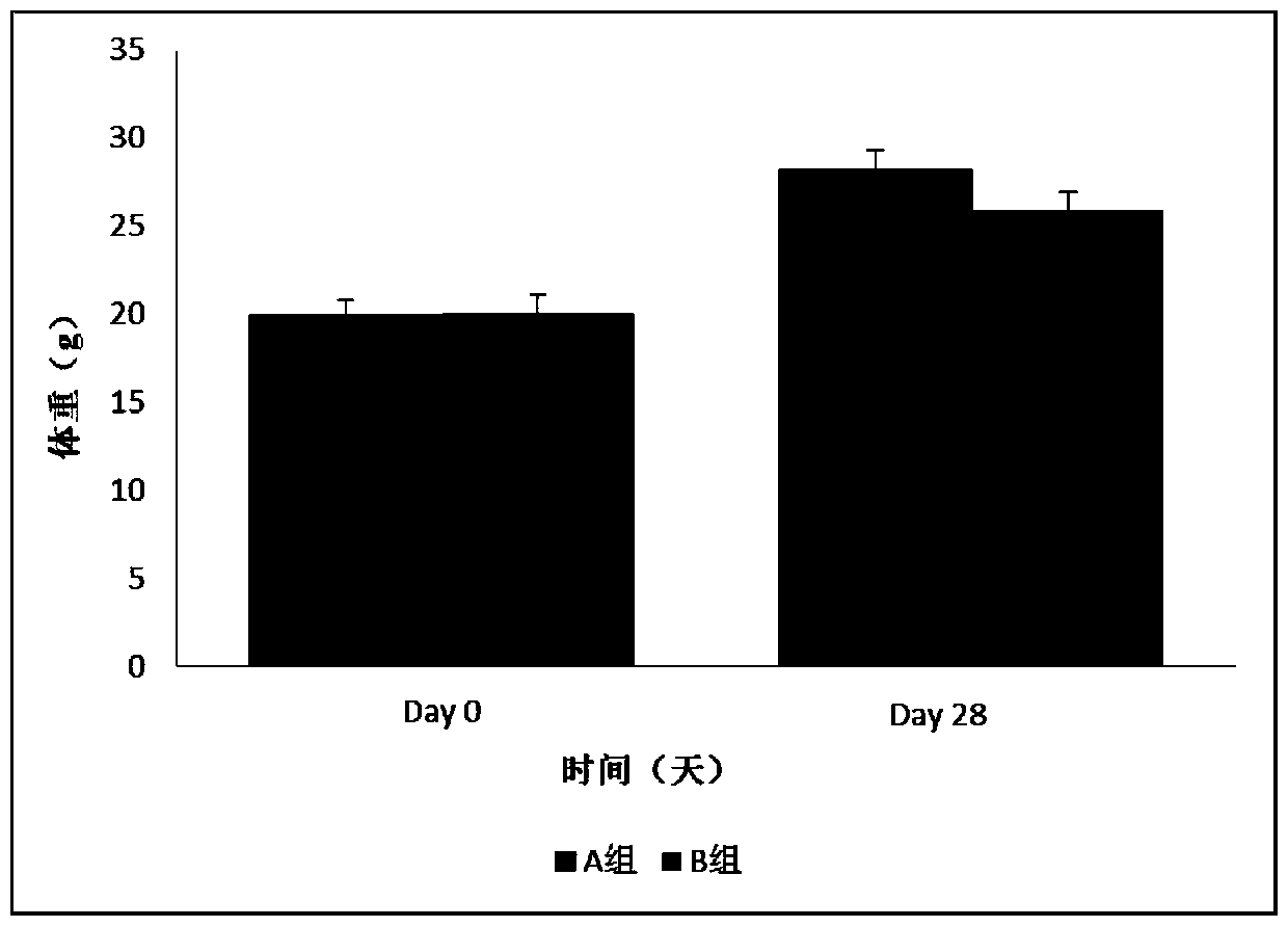 A kind of establishment method of type 2 diabetes animal model