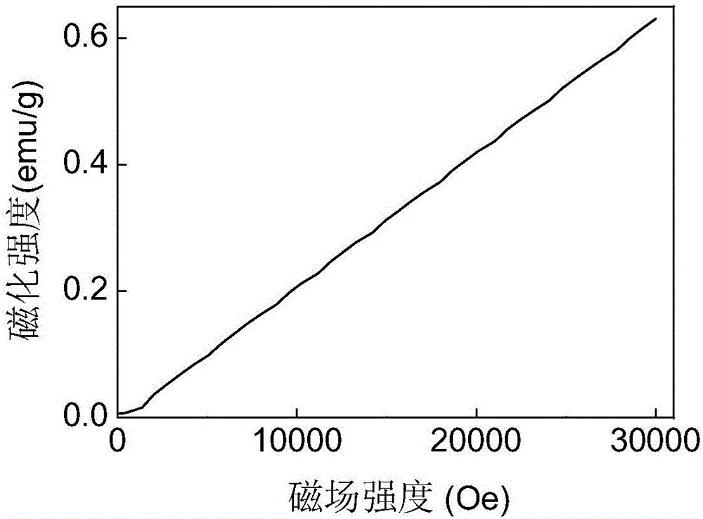 Magnetization intensity based TP304H boiler pipe material damage degree detection method