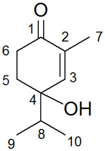 Monoterpene compound as well as preparation method and application thereof