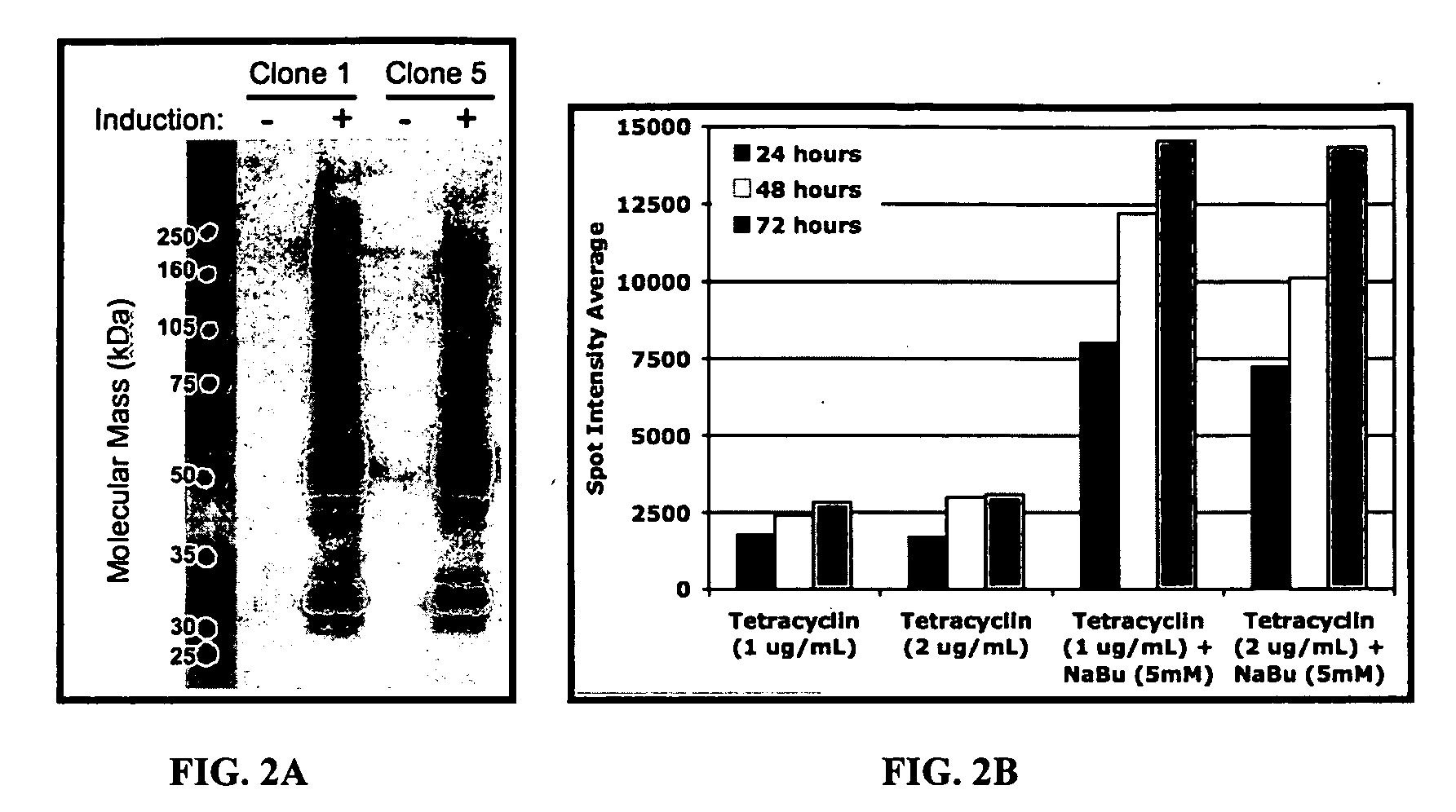 Bio-Sensing Nanodevice