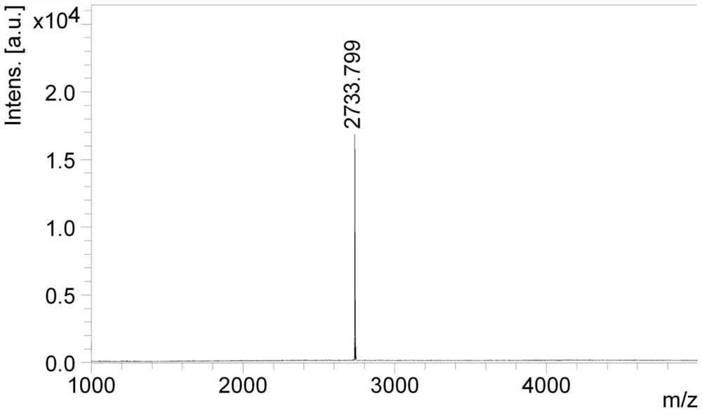 Tumor-targeted polypeptide, polypeptide coupling medicine and application of tumor-targeted polypeptide and polypeptide coupling medicine