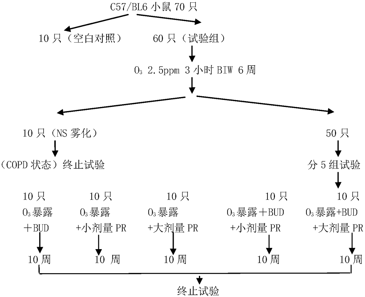 Application of progestational hormone in preparing glycogen synthase kinase-3beta inhibitor medicine, and glycogen synthase kinase-3beta inhibitor