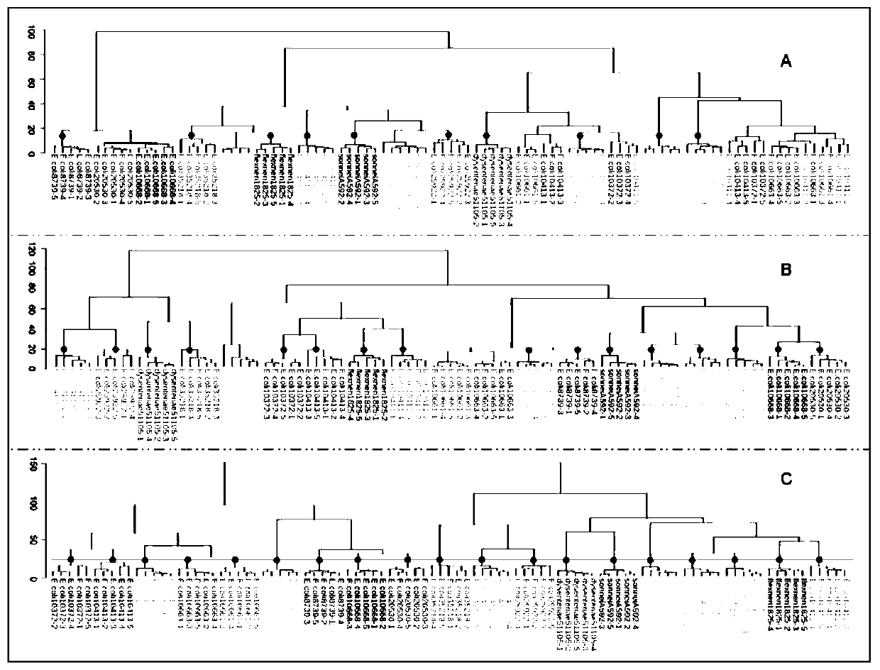 Microorganism identification and typing method in combination with mass spectrums and FTIR spectrums based on matrix-assisted laser desorption ionization flight time