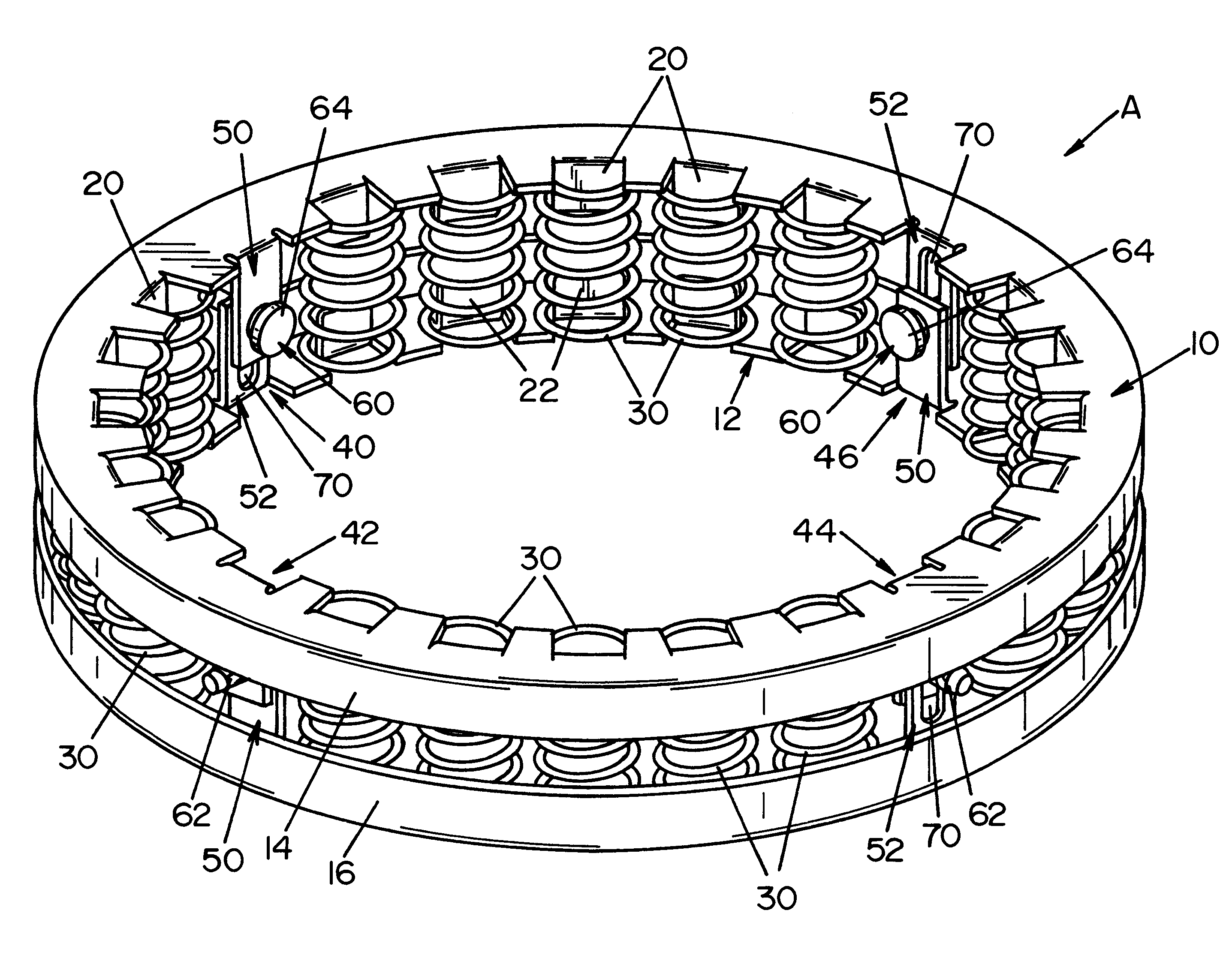 Ring shaped spring device