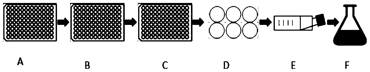 Sf9 cell line free from Sf-RV pollution as well as screening method and application of Sf9 cell line