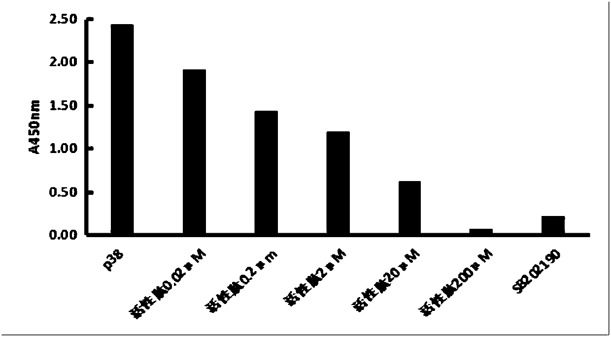 Protein kinase polypeptide inhibitor