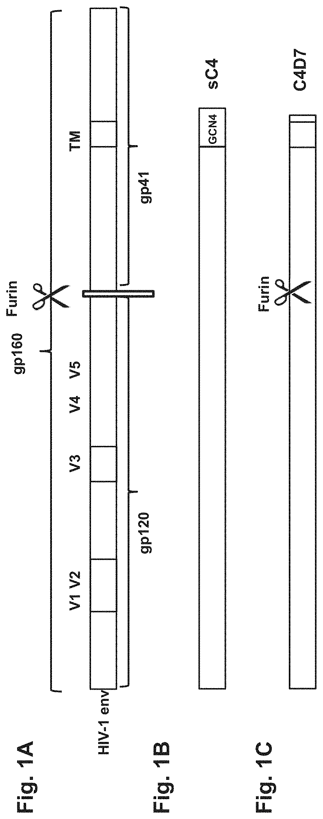 Poxvirus vectors encoding HIV antigens, and methods of use thereof