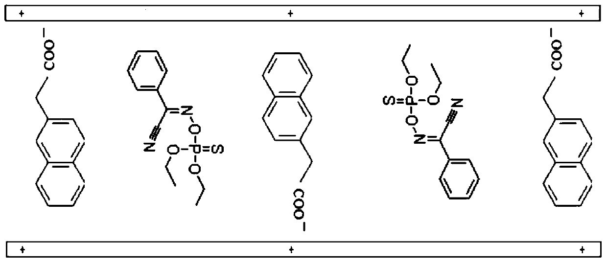 Sustained-release phoxim pesticide and preparation method thereof